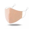 Mask - Apricot Gingham