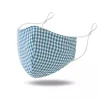 Mask - Blue Gingham